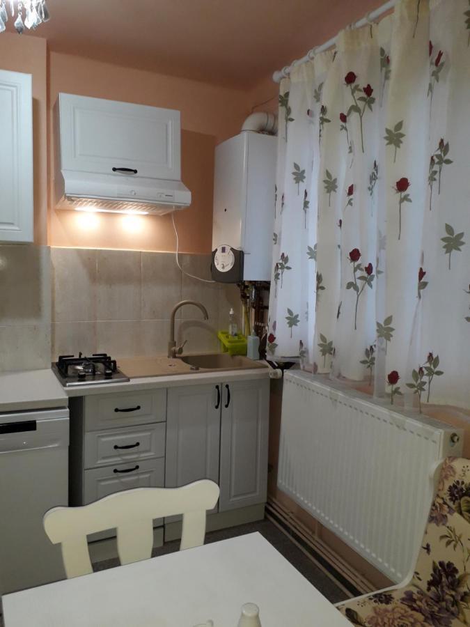 Cozy, Central 1-Bedroom Apartment In Timisoara, Romania Esterno foto