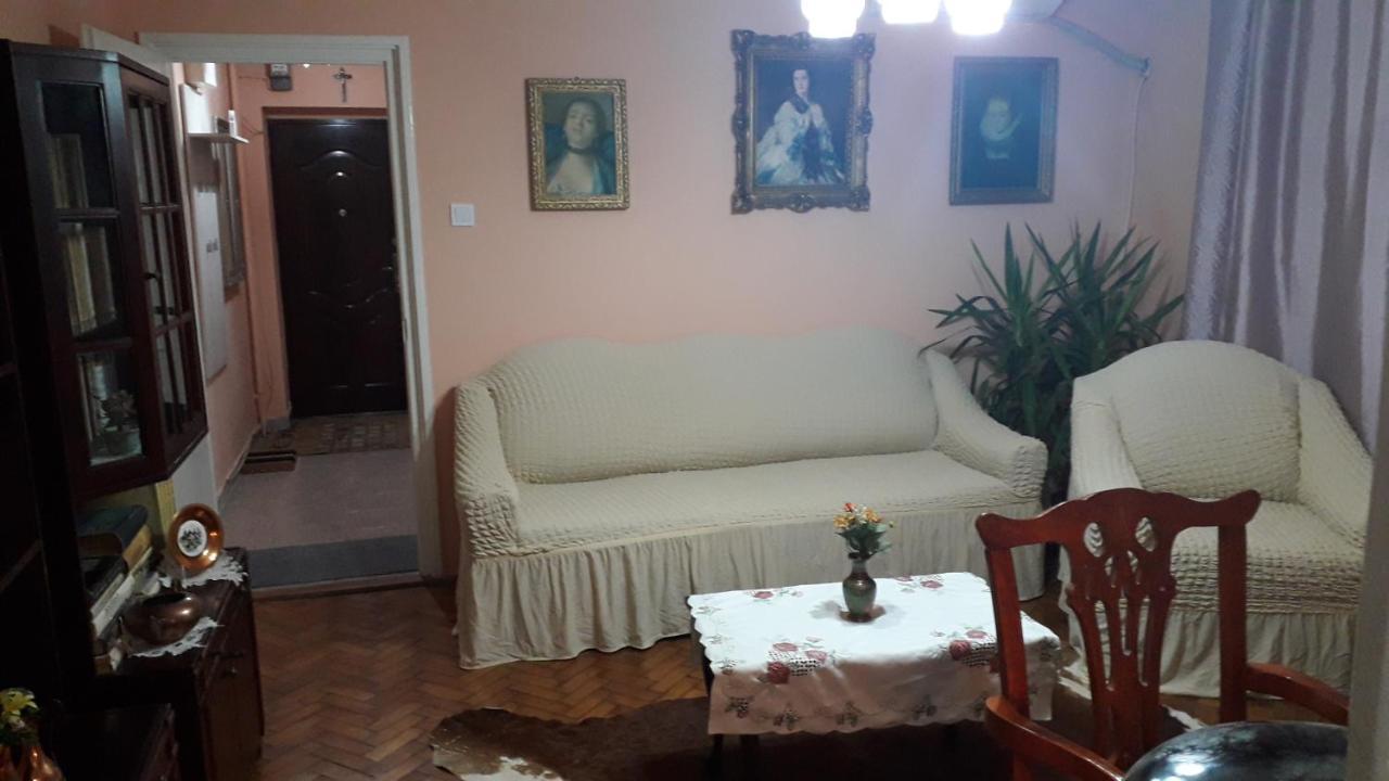 Cozy, Central 1-Bedroom Apartment In Timisoara, Romania Esterno foto